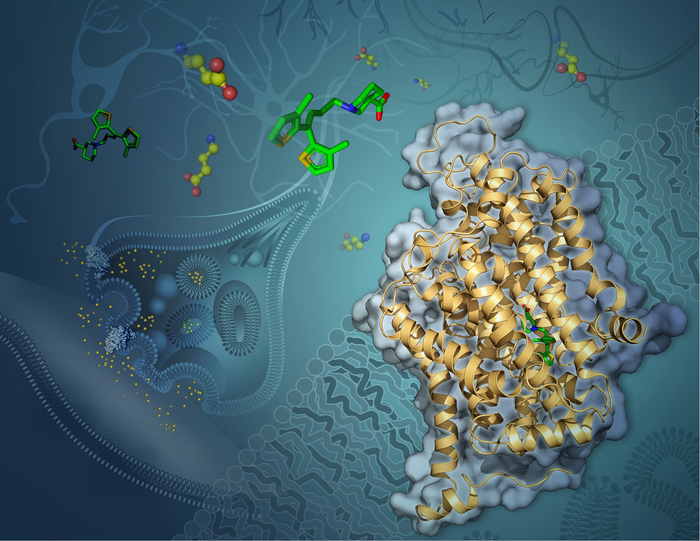 GABA Transporter 1 Structure