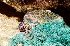 España creará una estrategia nacional de pesca de basuras ante la avalancha de desperdicios que llega al mar