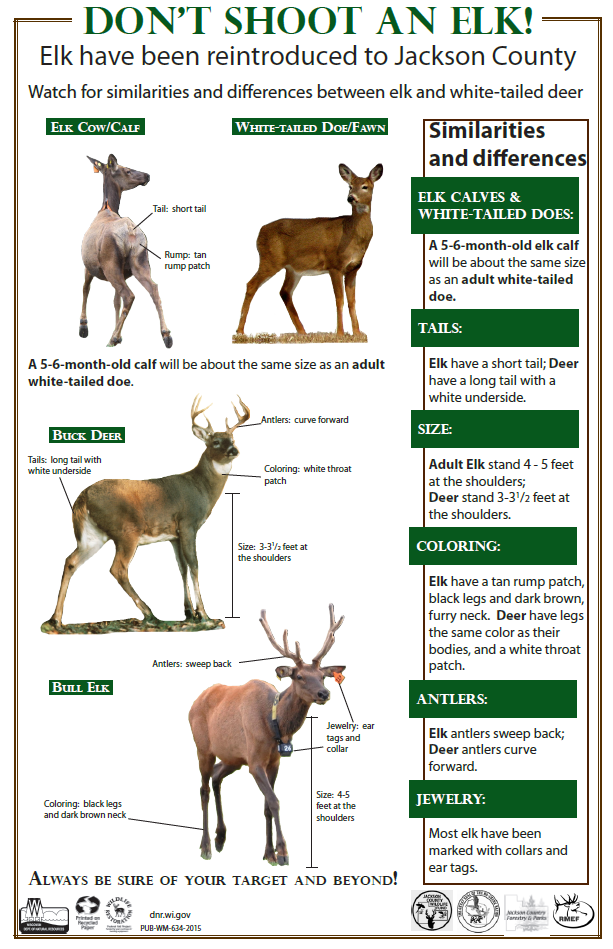 diagram depicting differences between deer and elk