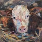 Hereford Calf, White faced calf, Orignal oil by Carol DeMumbrum - Posted on Monday, February 23, 2015 by Carol DeMumbrum