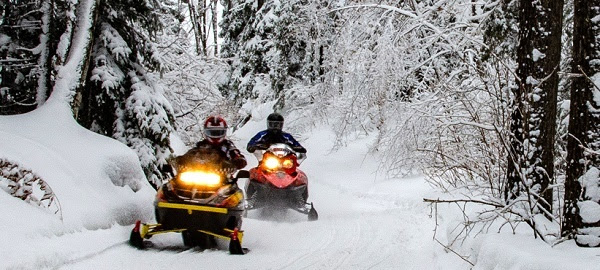 Two riders in winter gear ride red and yellow snowmobiles, with lights on, toward the camera, surrounded by snow-covered tree canopy