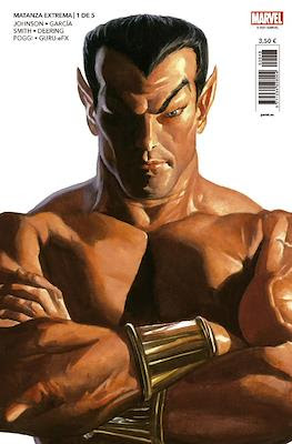 Colección Portadas Exclusivas Marvel Alex Ross (Grapa) #10