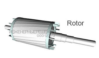 Induction motor rotor