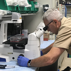 Dr. Richard Childs viewing kidney cancer sample under the microscope