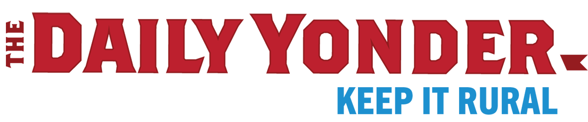 dy-wordmark-classic.png