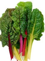 Swiss Chard Swiss Chard