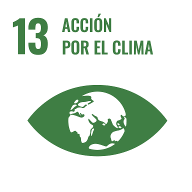 13 ODS clima