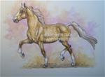 TROTTING PALOMINO SADDLEBRED HORSE  Draw 17 - Posted on Sunday, January 18, 2015 by Sheri Cook