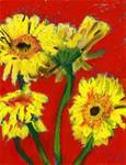 Daisy Almost Undone - Posted on Sunday, December 28, 2014 by Donna Crosby