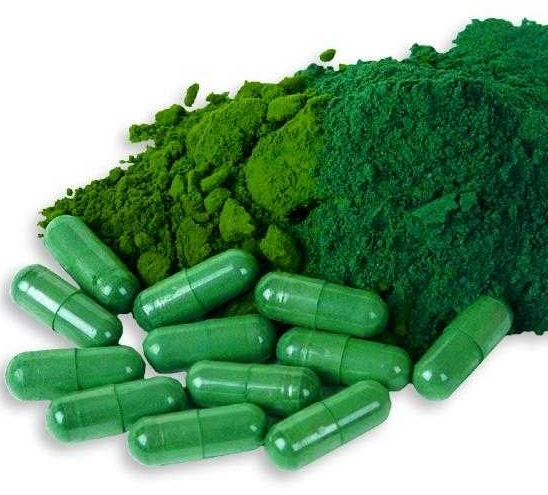 alga