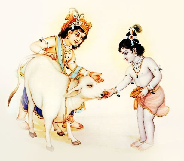 Shri Krishna