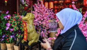 Malaysia: Chinese Year of the Dog images removed to avoid offending Muslims