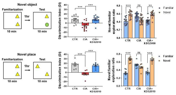 Two birds one stone strategy to treat both joint pain and cognitive impairment in rheumatoid arthritis