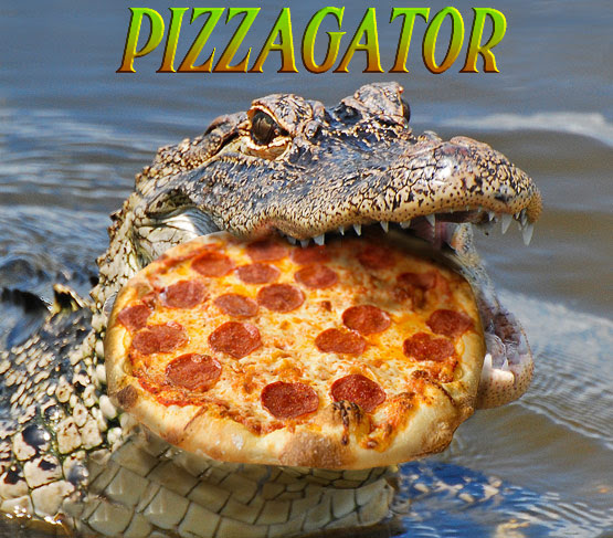 PizzaGators Smell Blood in the Water! Alt Media Overwhelms Mainstream Media with Pizzagate Truth! 