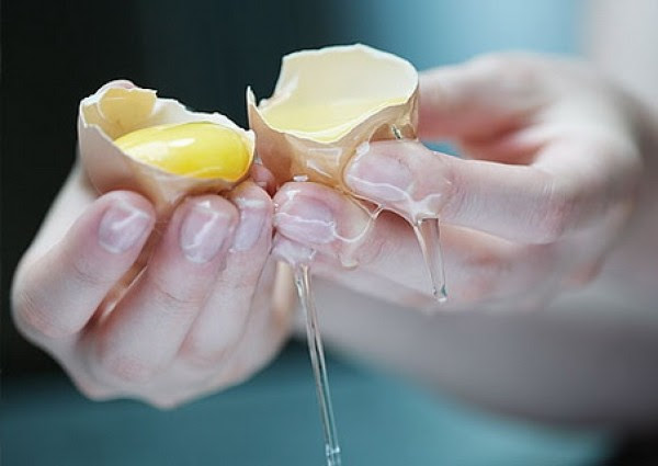 5 loài vi khuẩn đáng sợ trên bàn tay bạn