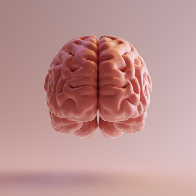 3d pink brain