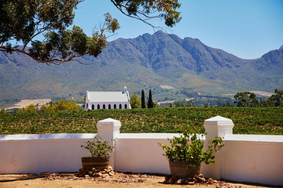 De wijngaarden van Tulbagh | © iStock - wirestock