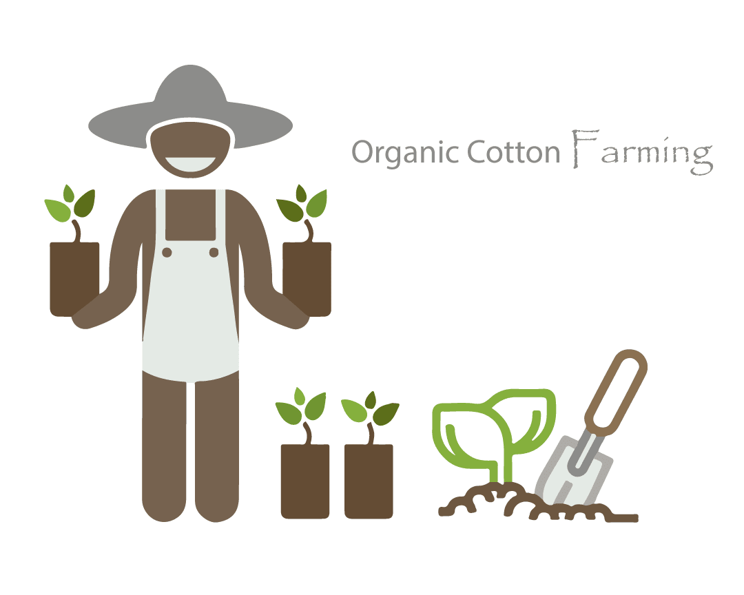 Fabric Organic Cotton