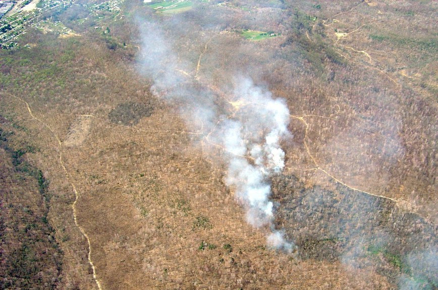 An aerial view of a forest with no leaves. Smoke rises in a plume from a portion of the forst. Roads, creeks, and lines of evergreen trees dot the landscape.