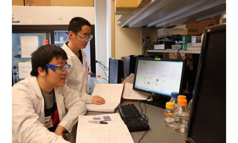 Antibody with engineered peptide targets bone metastasis