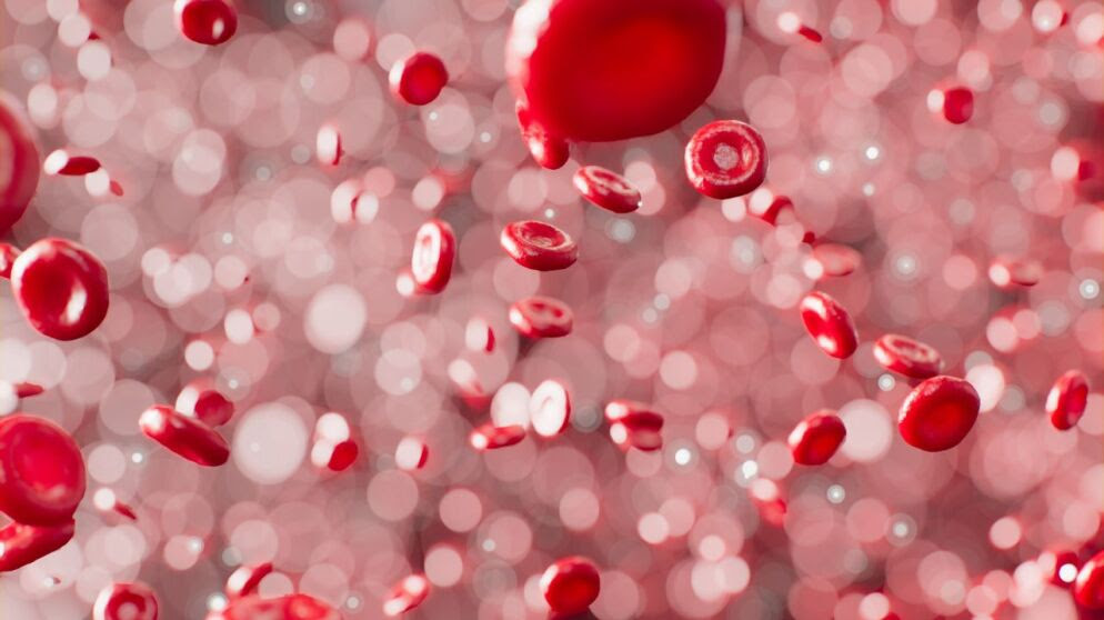 Digital rendering of red blood cells