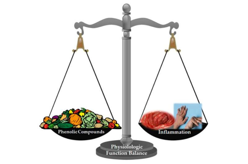 Dietary phenolic compounds have an impact on noncommunicable diseases