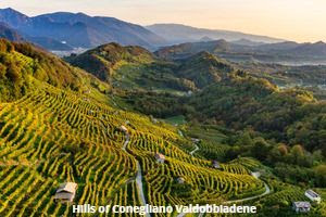 Landscape of Conegliano Valdobbiadene Prosecco_photo credits Arcangelo Piai_2 2 Landscape of Conegliano Valdobbiadene Prosecco_photo credits Arcangelo Piai_2 2