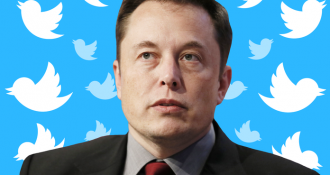 Elon Musk Spawns Chaos At Twitter And Online With Recent Poll Posted To His Account