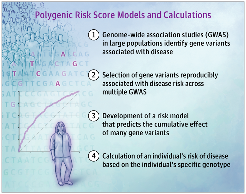 Steps for Calculating Polygenic Risk Score