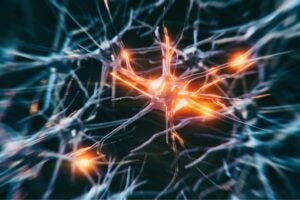 Human neuron. Credit: Getty Images