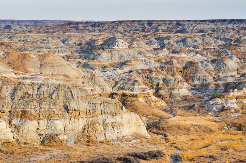 Dinosaur Provincial Park, Alberta, Canada Historical Facts and Pictures