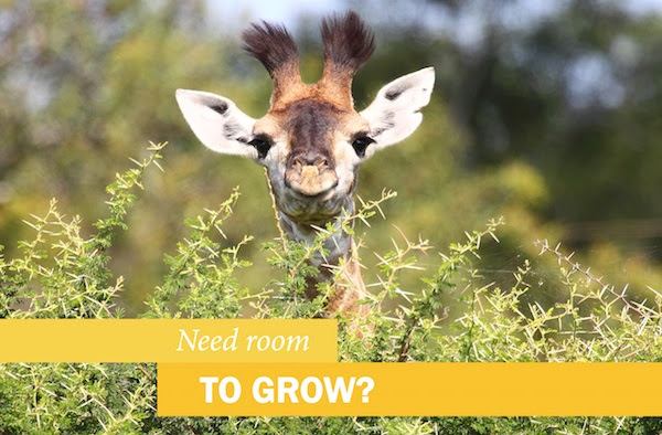 Need Room To Grow?