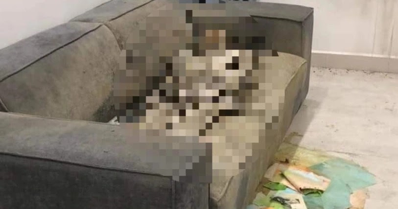 Thông tin mới nhất vụ cô gái chết khô trên sofa khu căn hộ cao cấp ở Hà Nội