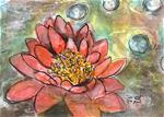 ACEO Water Lily Coral Pond Lake Flower Painting Original SFA Penny StewArt - Posted on Monday, April 6, 2015 by Penny Lee StewArt