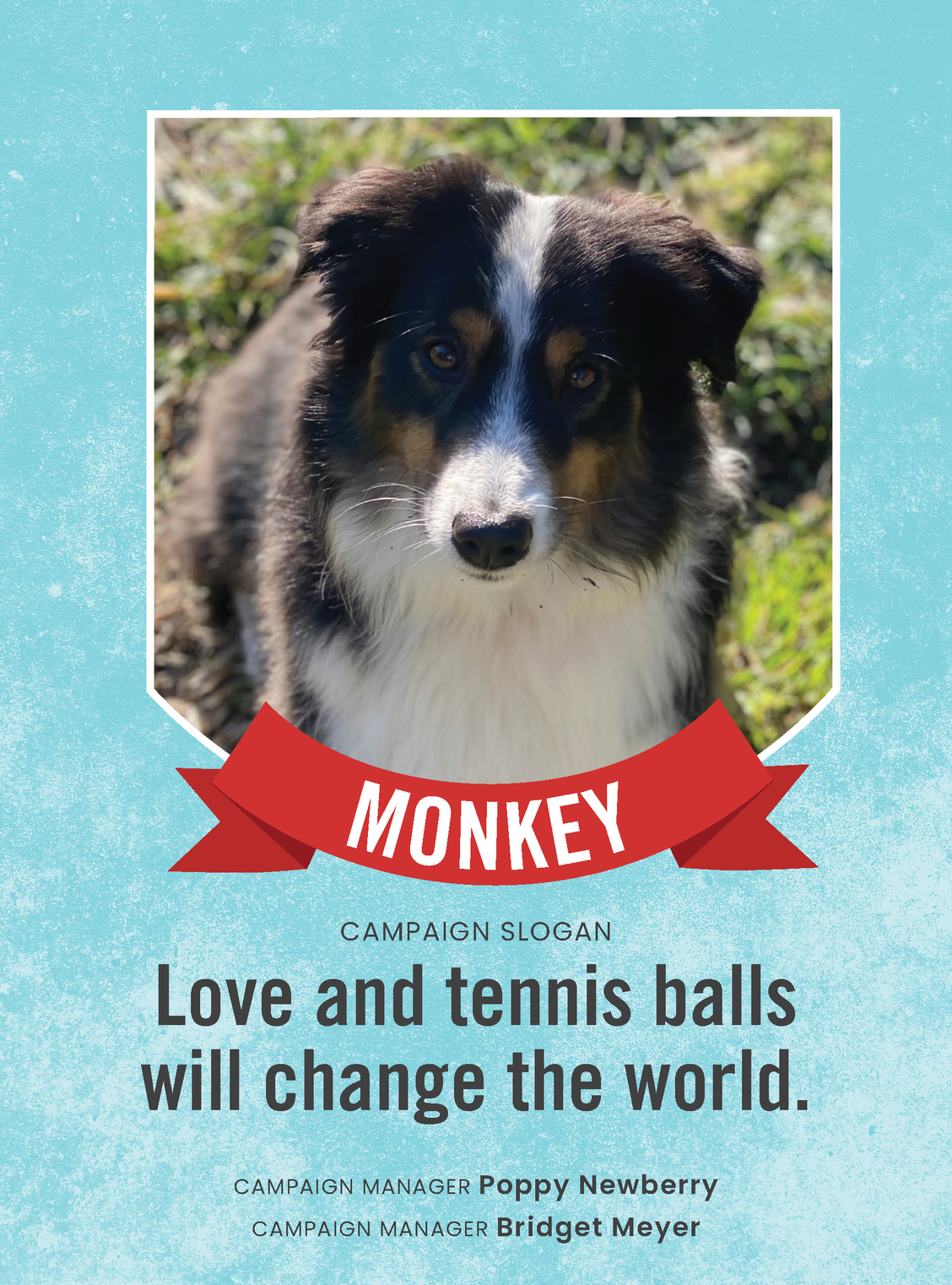 Vote for Monkey!