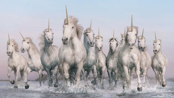 Image: A herd of galloping unicorns