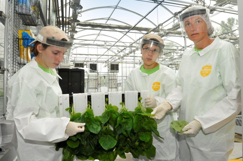 Medicago's Durham manufacturing facility