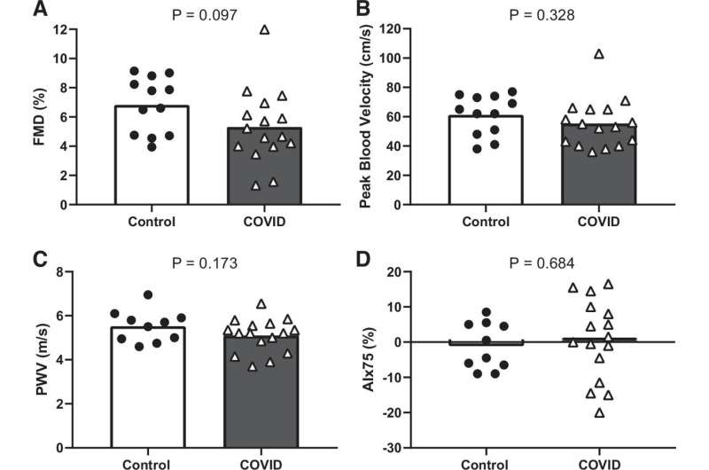 Previously healthy young adults with long COVID show vascular dysfunction in limbs, but not brain