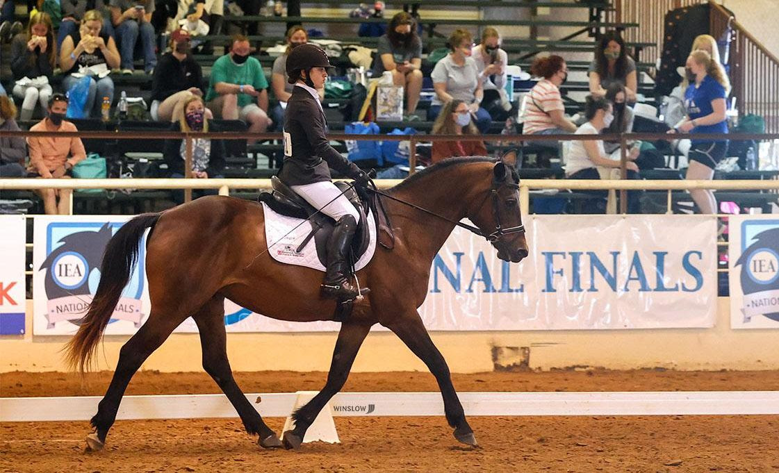 IEA Holds Inaugural Dressage National Finals The Plaid Horse Magazine