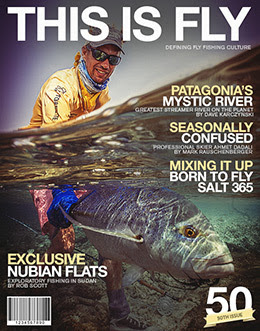 This is Fly Magazine This is Fly Magazine