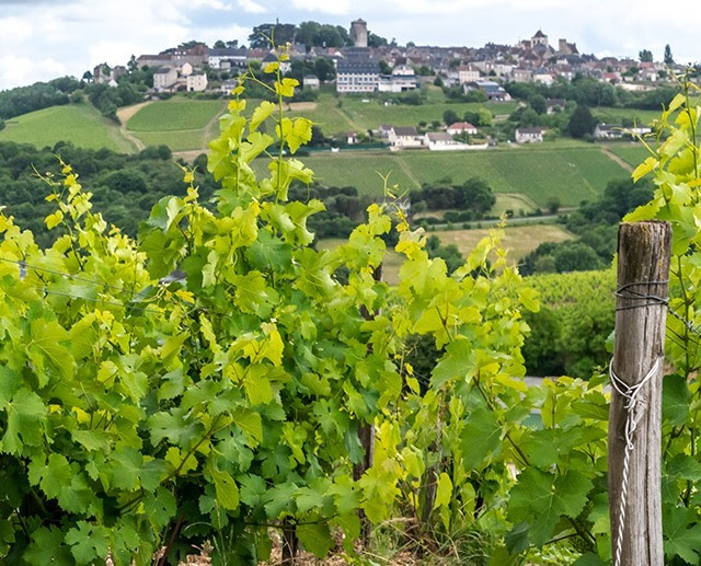 Wines to Wineries: Everything You Need to Know on Sancerre