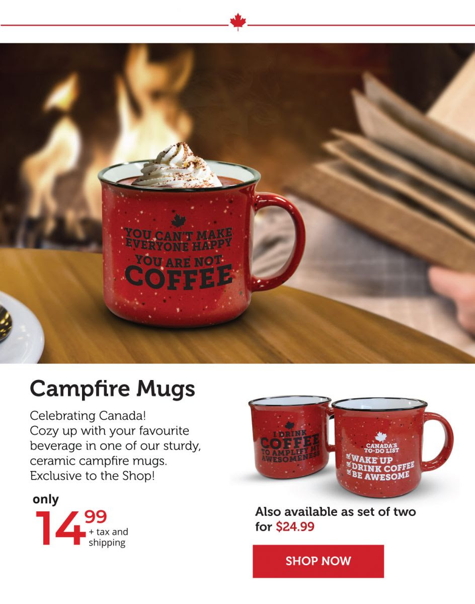 Campfire Mugs - Set of two