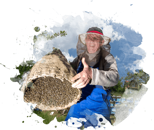 Beekeper opening beehive