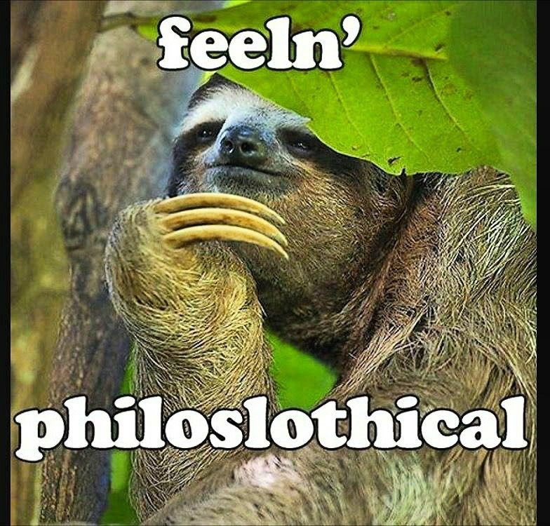 Sloth-Philoslothical