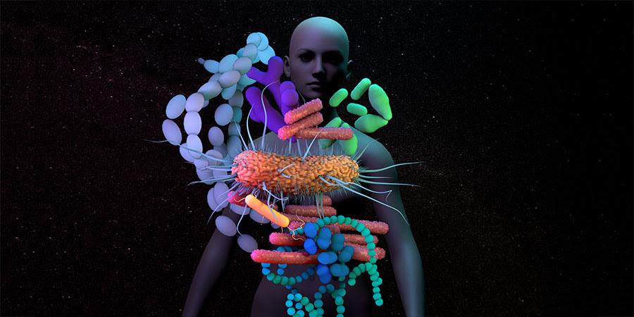 Foto que muestra dónde viven los microbios en el cuerpo de un hombre