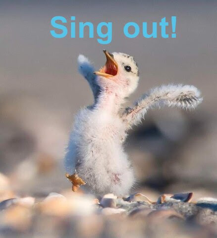 Good-Morning-Rise-Shine-Sing-It