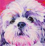 Shih Tzu Painting - Posted on Tuesday, February 24, 2015 by Leslie  Raven