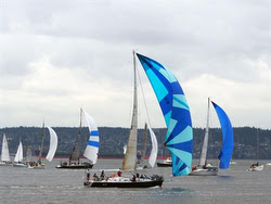 J/160 sailing Southern Straits race