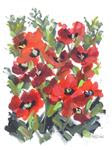 Wild Red Poppies - Posted on Friday, December 19, 2014 by Pamela Gatens