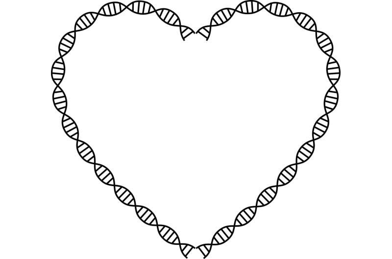 heart dna